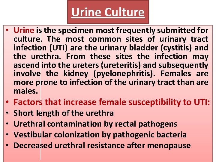 Urine Culture • Urine is the specimen most frequently submitted for culture. The most