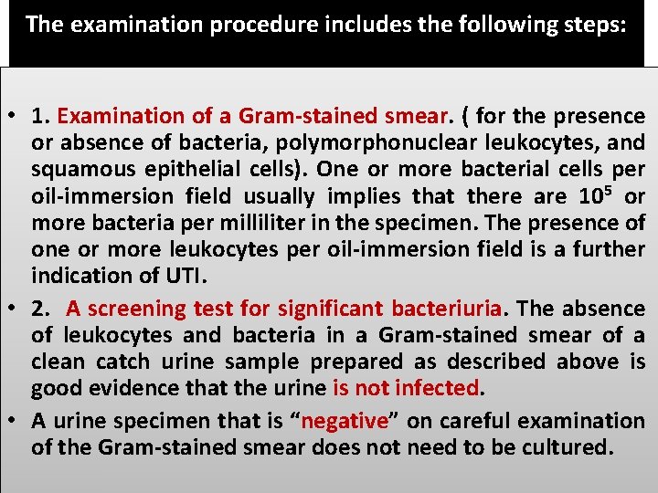The examination procedure includes the following steps: • 1. Examination of a Gram-stained smear. The examination procedure includes the following steps: • 1. Examination of a Gram-stained smear.