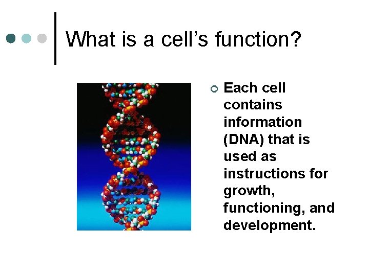 What is a cell’s function? ¢ Each cell contains information (DNA) that is used