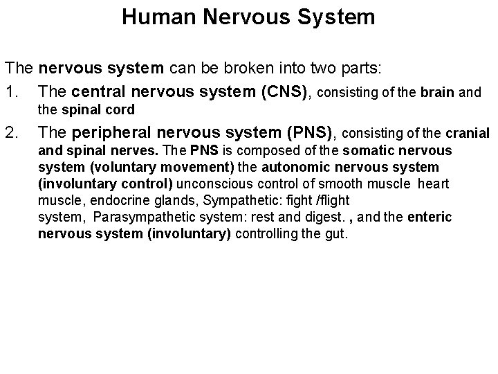 Human Nervous System The nervous system can be broken into two parts: 1. The