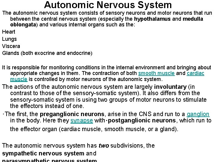 Autonomic Nervous System The autonomic nervous system consists of sensory neurons and motor neurons