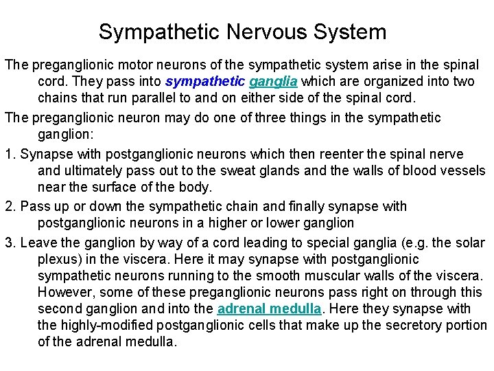 Sympathetic Nervous System The preganglionic motor neurons of the sympathetic system arise in the