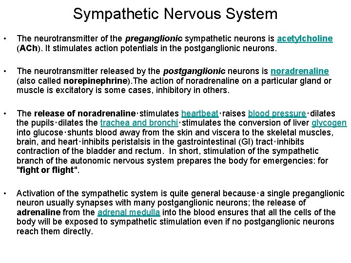 Sympathetic Nervous System • The neurotransmitter of the preganglionic sympathetic neurons is acetylcholine (ACh).