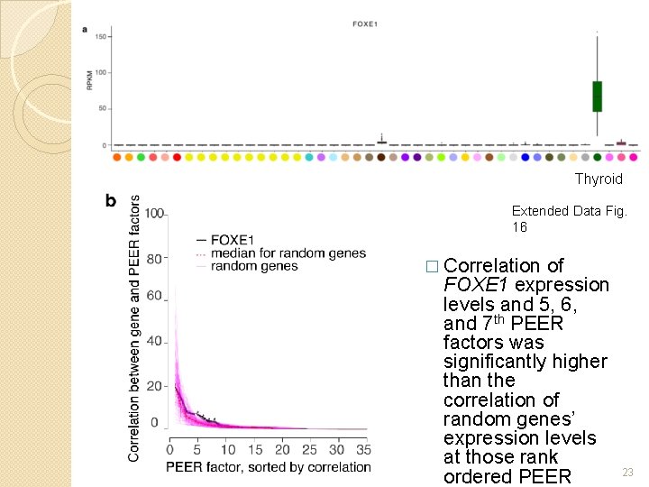 Thyroid Extended Data Fig. 16 � Correlation of FOXE 1 expression levels and 5,