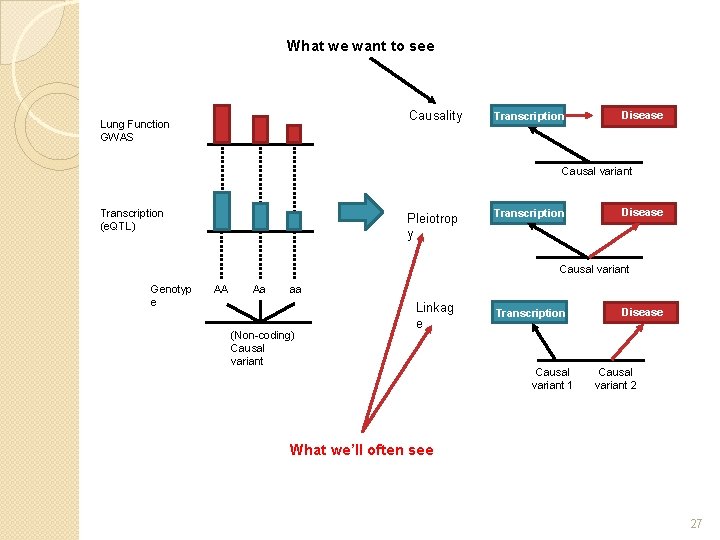 What we want to see Causality Lung Function GWAS Transcription Disease Causal variant Transcription