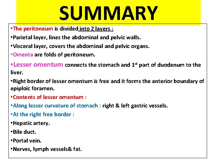 SUMMARY • The peritoneum is divided into 2 layers : • Parietal layer, lines