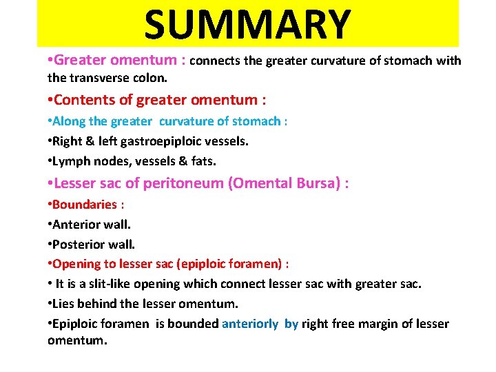 SUMMARY • Greater omentum : connects the greater curvature of stomach with the transverse