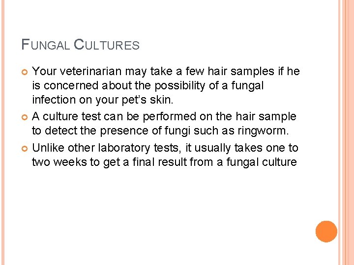 FUNGAL CULTURES Your veterinarian may take a few hair samples if he is concerned