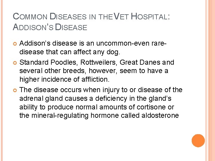 COMMON DISEASES IN THE VET HOSPITAL: ADDISON’S DISEASE Addison’s disease is an uncommon-even raredisease