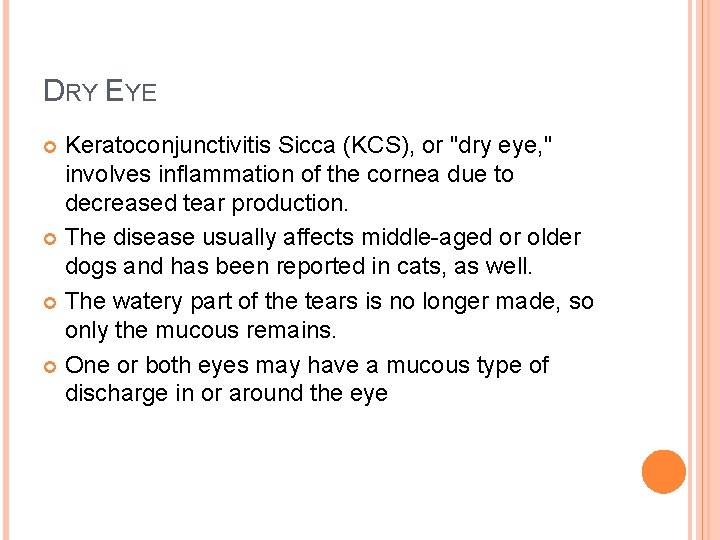 DRY EYE Keratoconjunctivitis Sicca (KCS), or "dry eye, " involves inflammation of the cornea