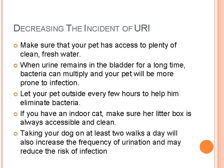 DECREASING THE INCIDENT OF URI Make sure that your pet has access to plenty