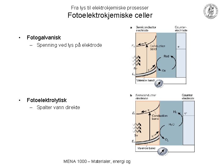 Fra lys til elektrokjemiske prosesser Fotoelektrokjemiske celler • Fotogalvanisk – Spenning ved lys på