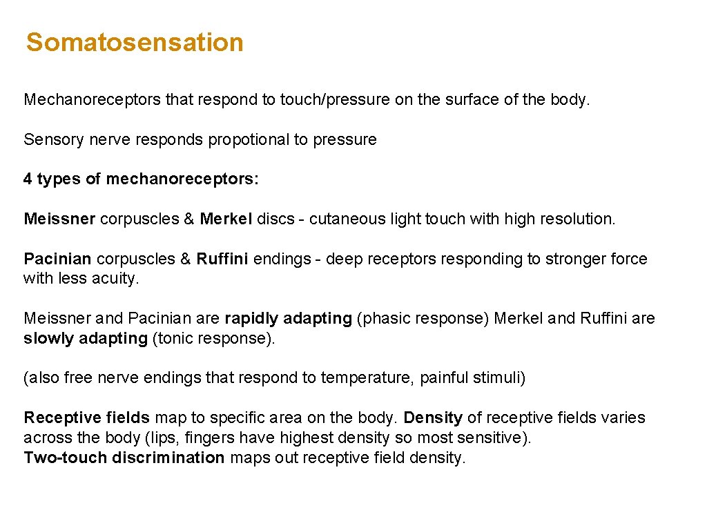 Somatosensation Mechanoreceptors that respond to touch/pressure on the surface of the body. Sensory nerve Somatosensation Mechanoreceptors that respond to touch/pressure on the surface of the body. Sensory nerve