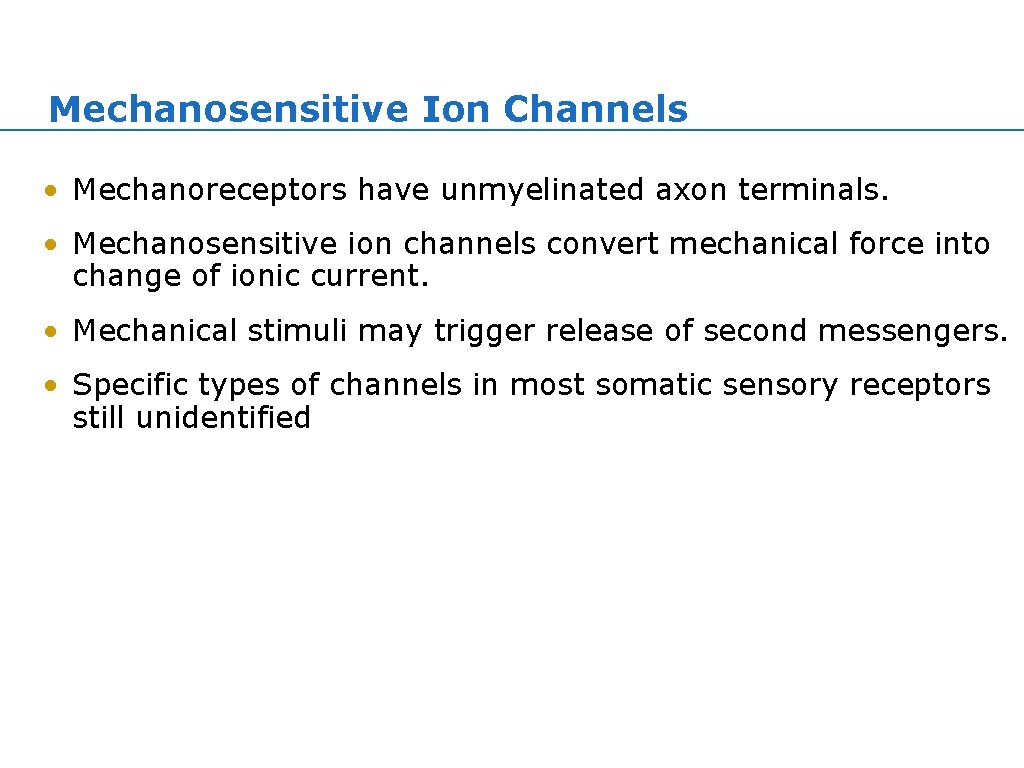 Mechanosensitive Ion Channels • Mechanoreceptors have unmyelinated axon terminals. • Mechanosensitive ion channels convert Mechanosensitive Ion Channels • Mechanoreceptors have unmyelinated axon terminals. • Mechanosensitive ion channels convert