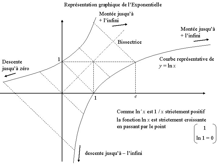Représentation graphique de l’Exponentielle Montée jusqu’à + l’infini Bissectrice Descente jusqu’à zéro Courbe représentative