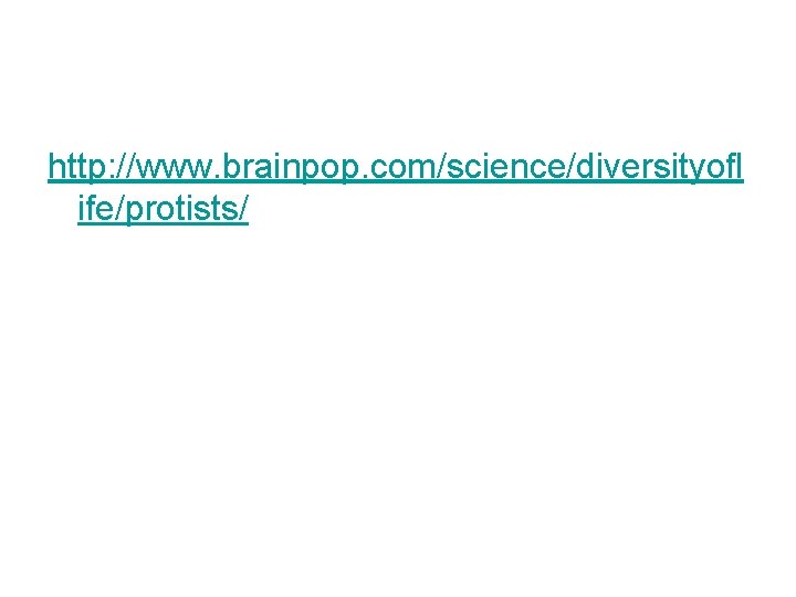 http: //www. brainpop. com/science/diversityofl ife/protists/ 