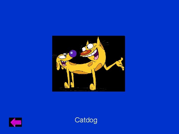 Catdog Catdog