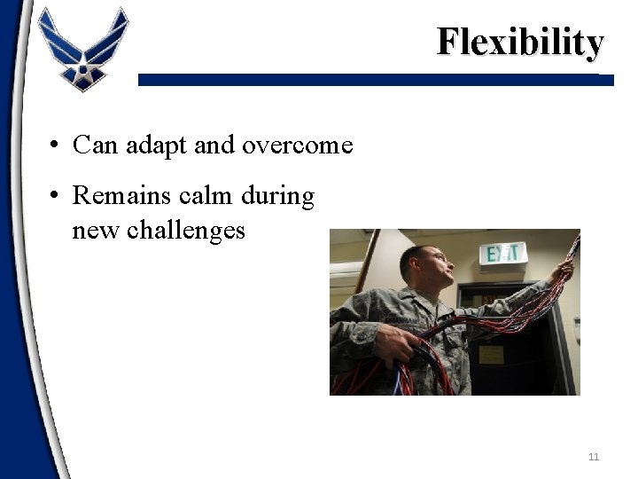 Flexibility • Can adapt and overcome • Remains calm during new challenges 11 