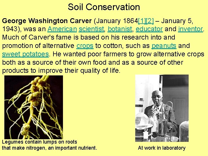 Soil Conservation George Washington Carver (January 1864[1][2] – January 5, 1943), was an American