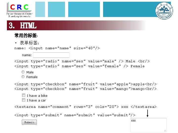 3. HTML 常用的标签： • 表单标签： name: <input name="name" size=“ 40"/> <input type="radio" name="sex" value="male"