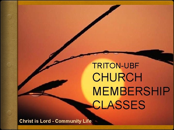 TRITON-UBF CHURCH MEMBERSHIP CLASSES Christ is Lord - Community Life 