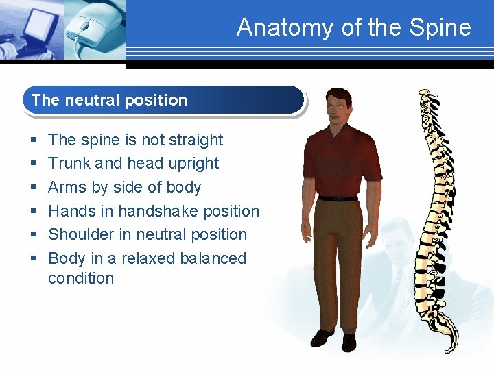 Anatomy of the Spine The neutral position § § § The spine is not