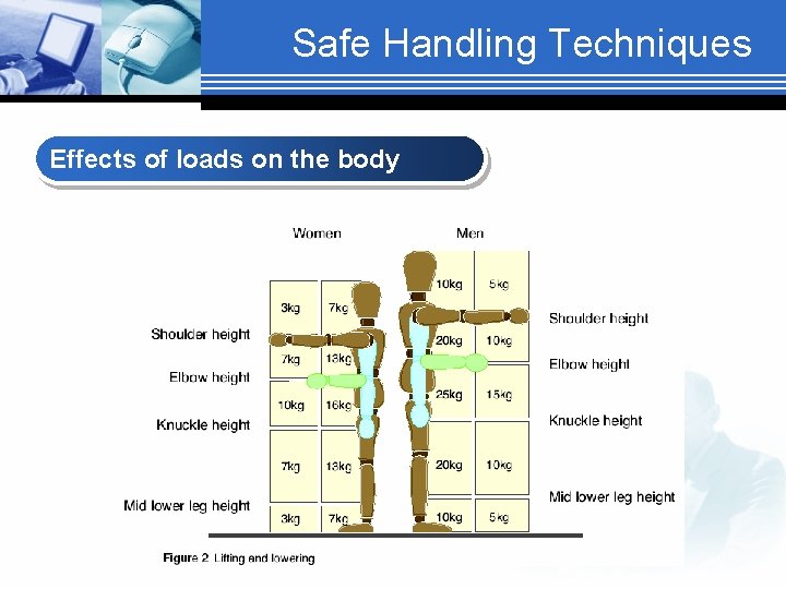 Safe Handling Techniques Effects of loads on the body 