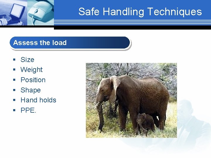 Safe Handling Techniques Assess the load § § § Size Weight Position Shape Hand