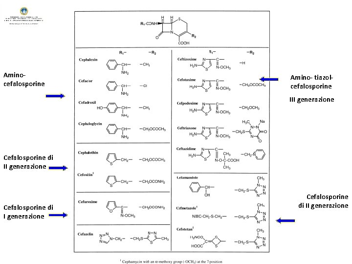 Aminocefalosporine Amino- tiazolcefalosporine III generazione Cefalosporine di II generazione 