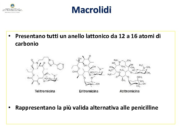 Macrolidi • Presentano tutti un anello lattonico da 12 a 16 atomi di carbonio