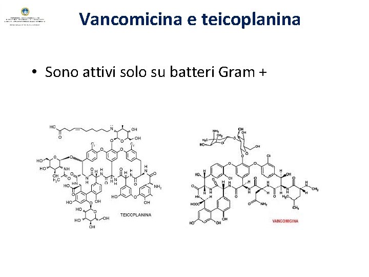 Vancomicina e teicoplanina • Sono attivi solo su batteri Gram + 