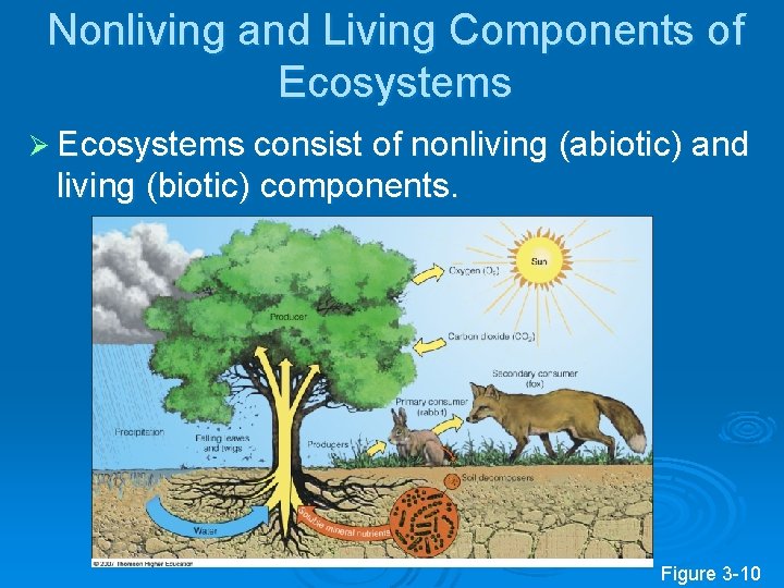 Nonliving and Living Components of Ecosystems Ø Ecosystems consist of nonliving (abiotic) and living