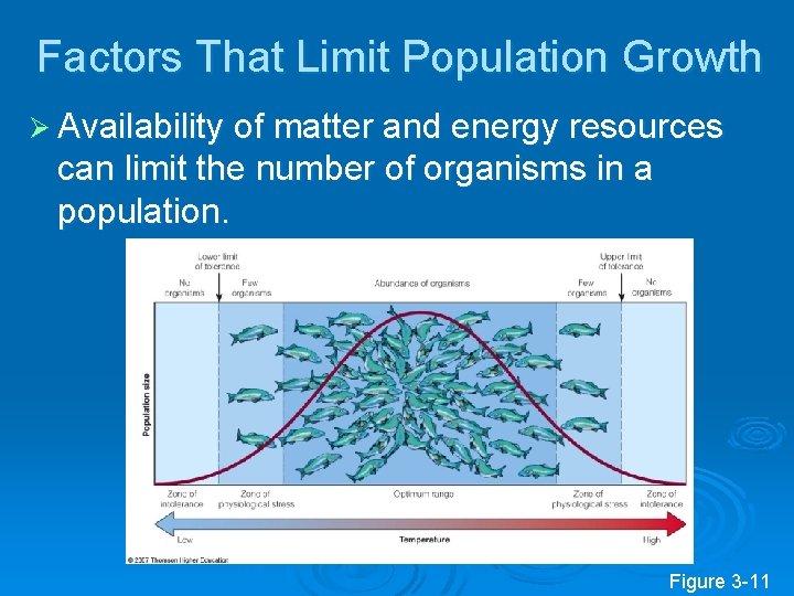 Factors That Limit Population Growth Ø Availability of matter and energy resources can limit