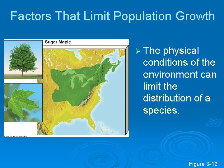 Factors That Limit Population Growth Ø The physical conditions of the environment can limit