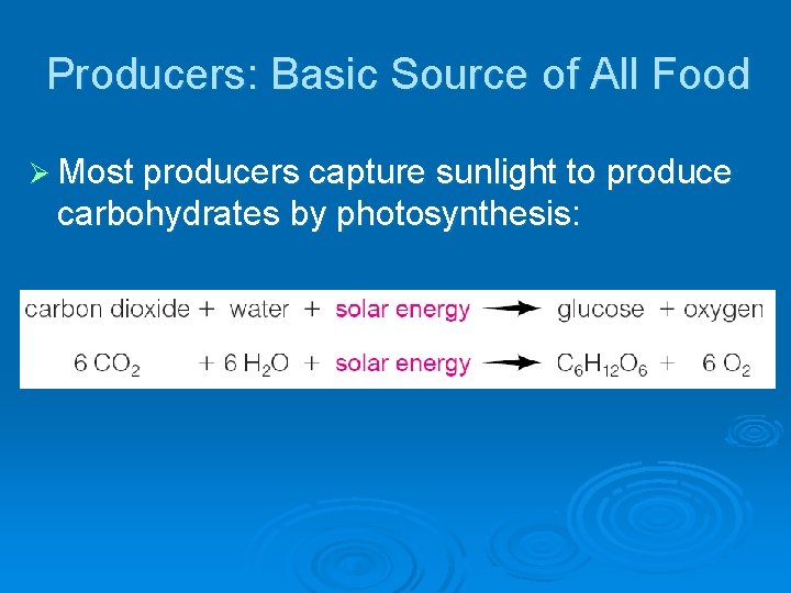Producers: Basic Source of All Food Ø Most producers capture sunlight to produce carbohydrates