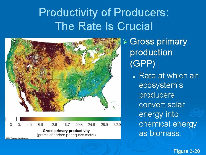 Productivity of Producers: The Rate Is Crucial Ø Gross primary production (GPP) l Rate