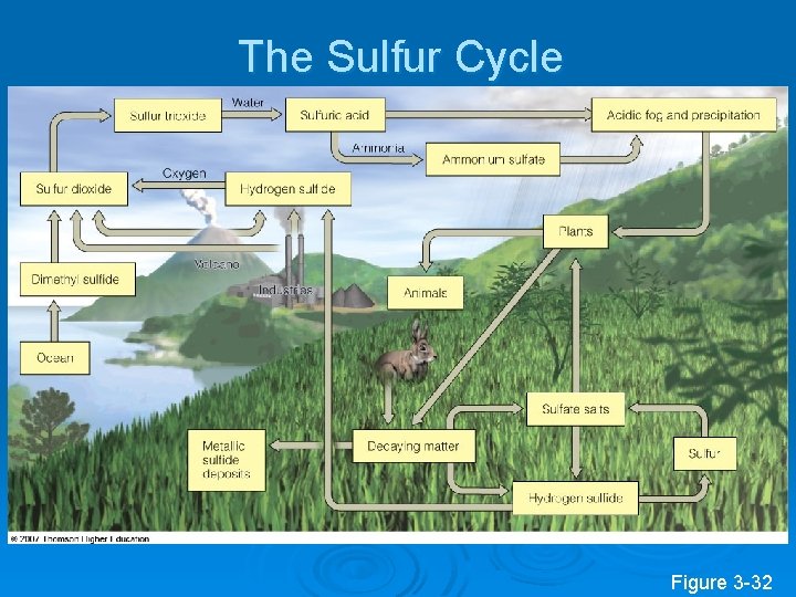 The Sulfur Cycle Figure 3 -32 