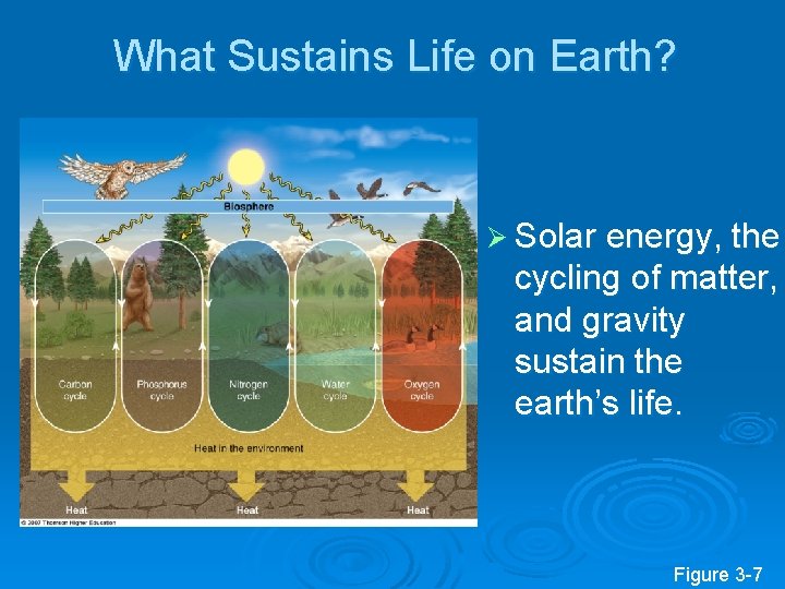 What Sustains Life on Earth? Ø Solar energy, the cycling of matter, and gravity