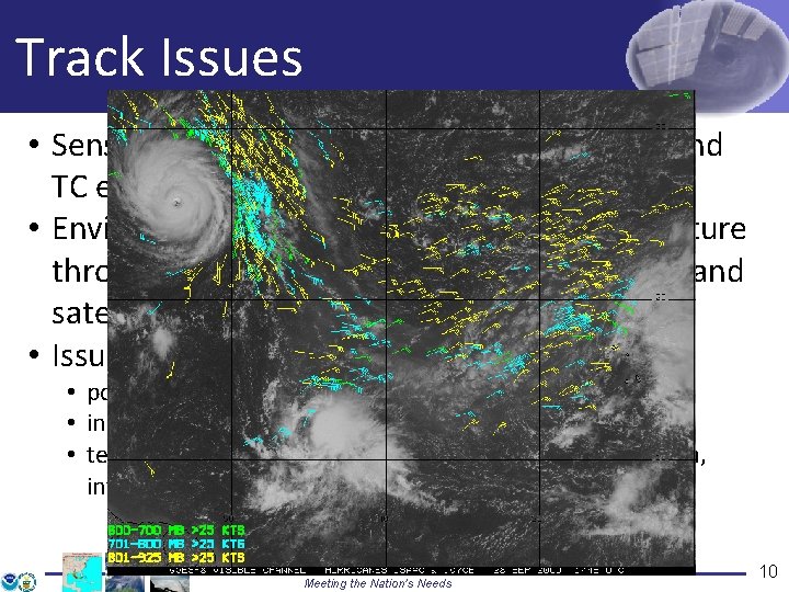 Track Issues • Sensitivity to environmental circulation beyond TC envelope • Environment wind and