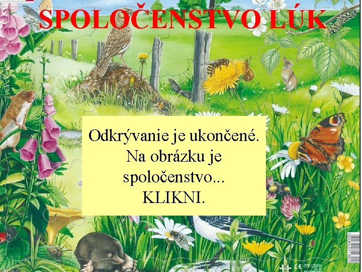 SPOLOČENSTVO LÚK Odkrývanie je ukončené. Na obrázku je spoločenstvo. . . KLIKNI. 