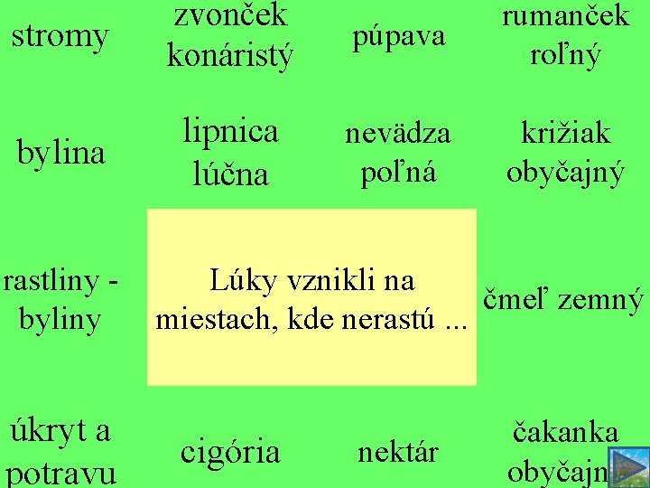 stromy zvonček konáristý púpava rumanček roľný bylina lipnica lúčna nevädza poľná križiak obyčajný rastliny