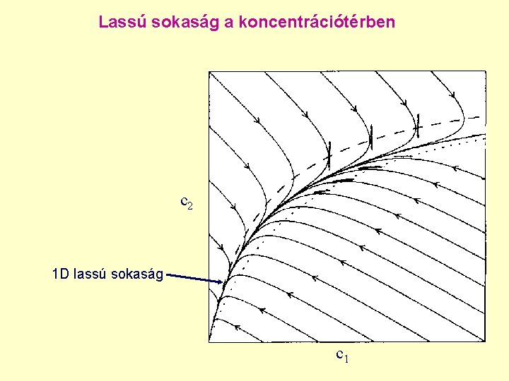 Lassú sokaság a koncentrációtérben c 2 1 D lassú sokaság c 1 