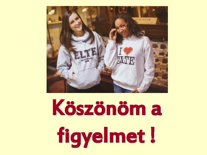 Köszönöm a figyelmet ! 