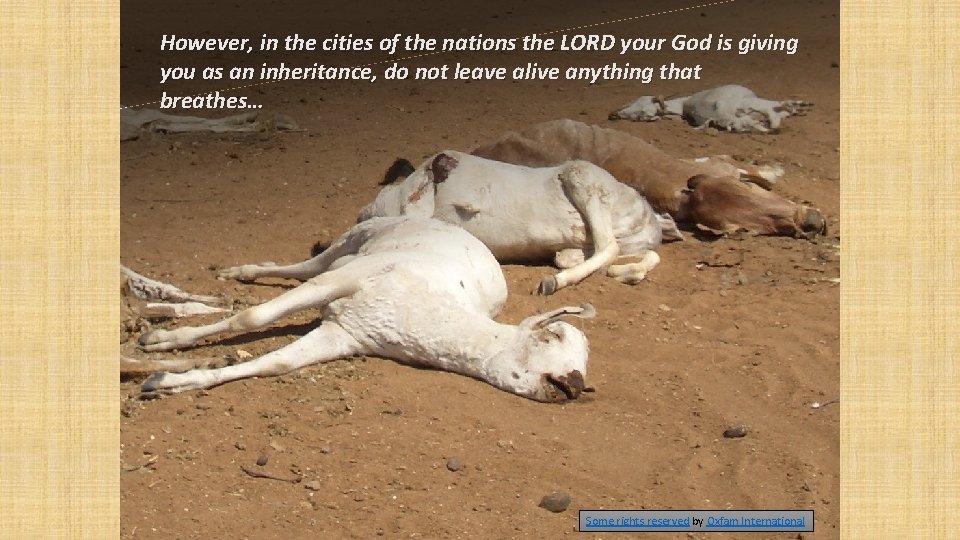 However, in the cities of the nations the LORD your God is giving you