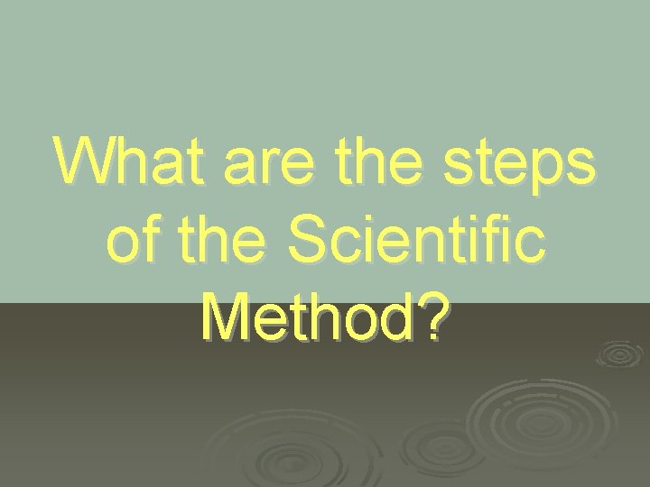 What are the steps of the Scientific Method? 