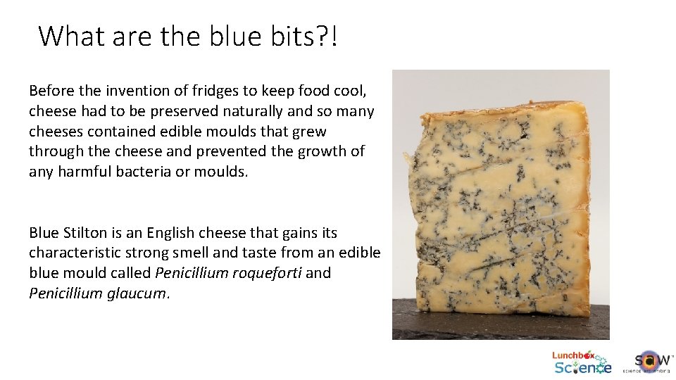 What are the blue bits? ! Before the invention of fridges to keep food