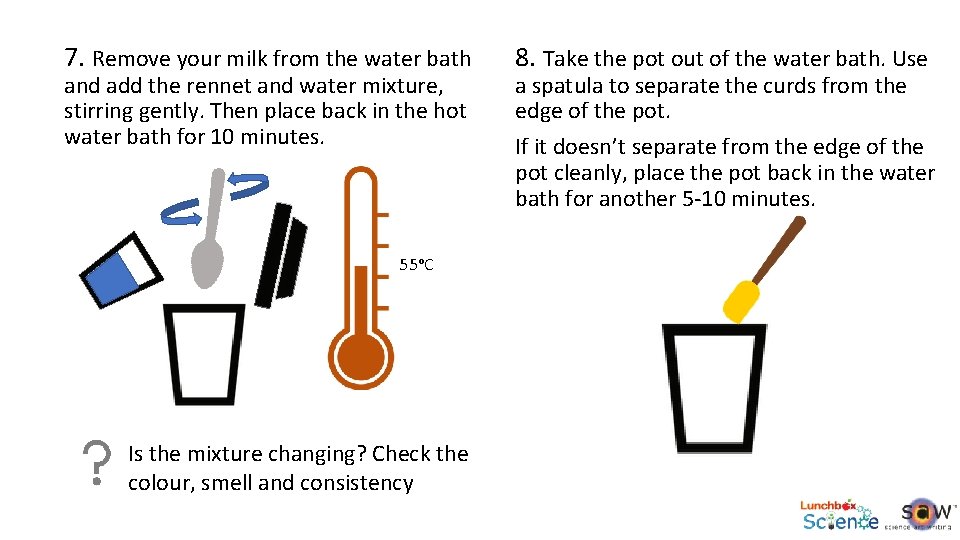 7. Remove your milk from the water bath and add the rennet and water
