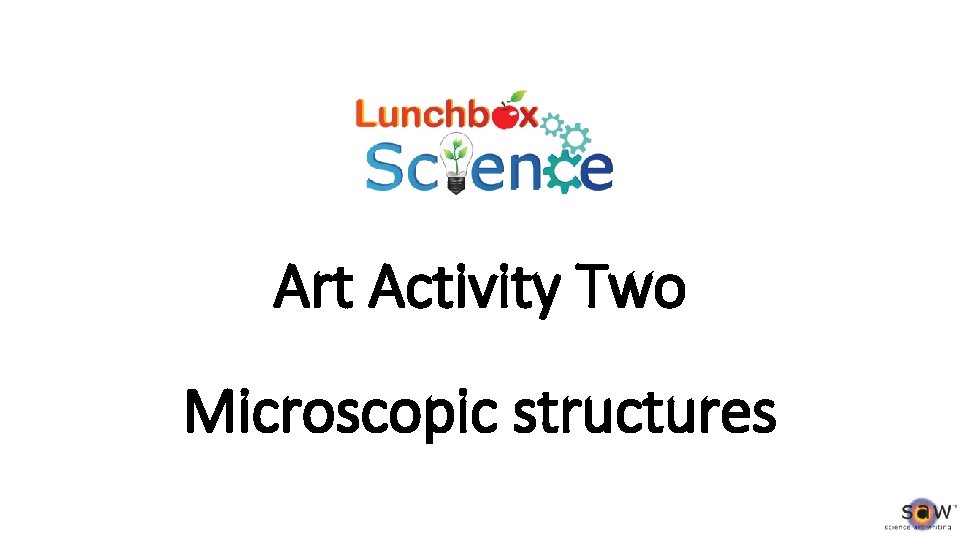 Art Activity Two Microscopic structures 