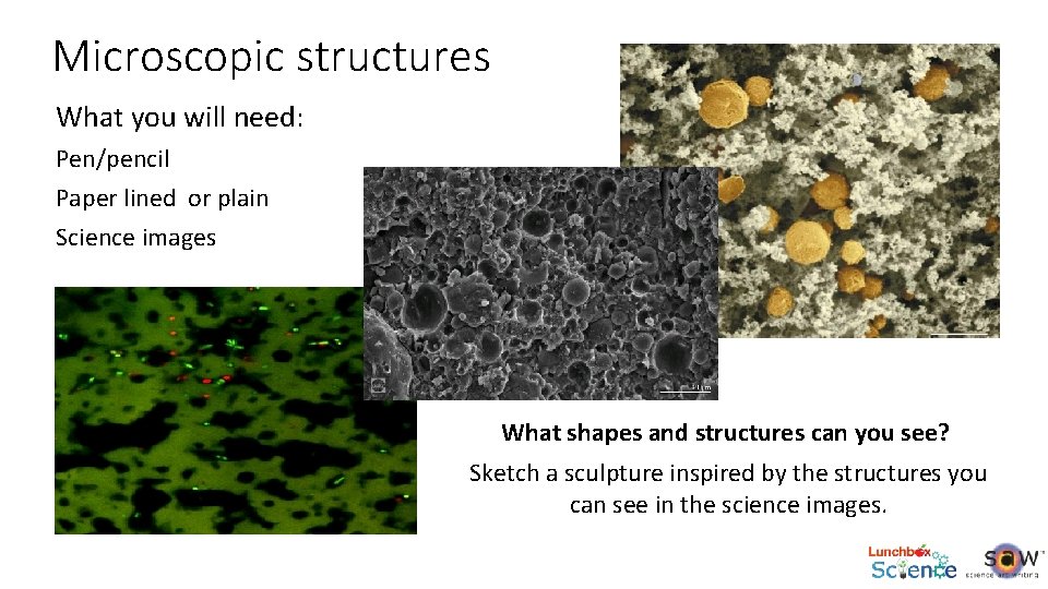 Microscopic structures What you will need: Pen/pencil Paper lined or plain Science images What