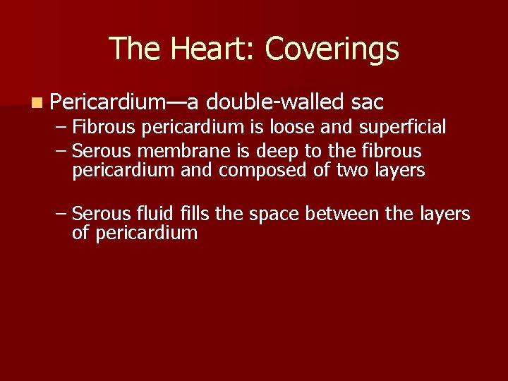 The Heart: Coverings n Pericardium—a double-walled sac – Fibrous pericardium is loose and superficial The Heart: Coverings n Pericardium—a double-walled sac – Fibrous pericardium is loose and superficial